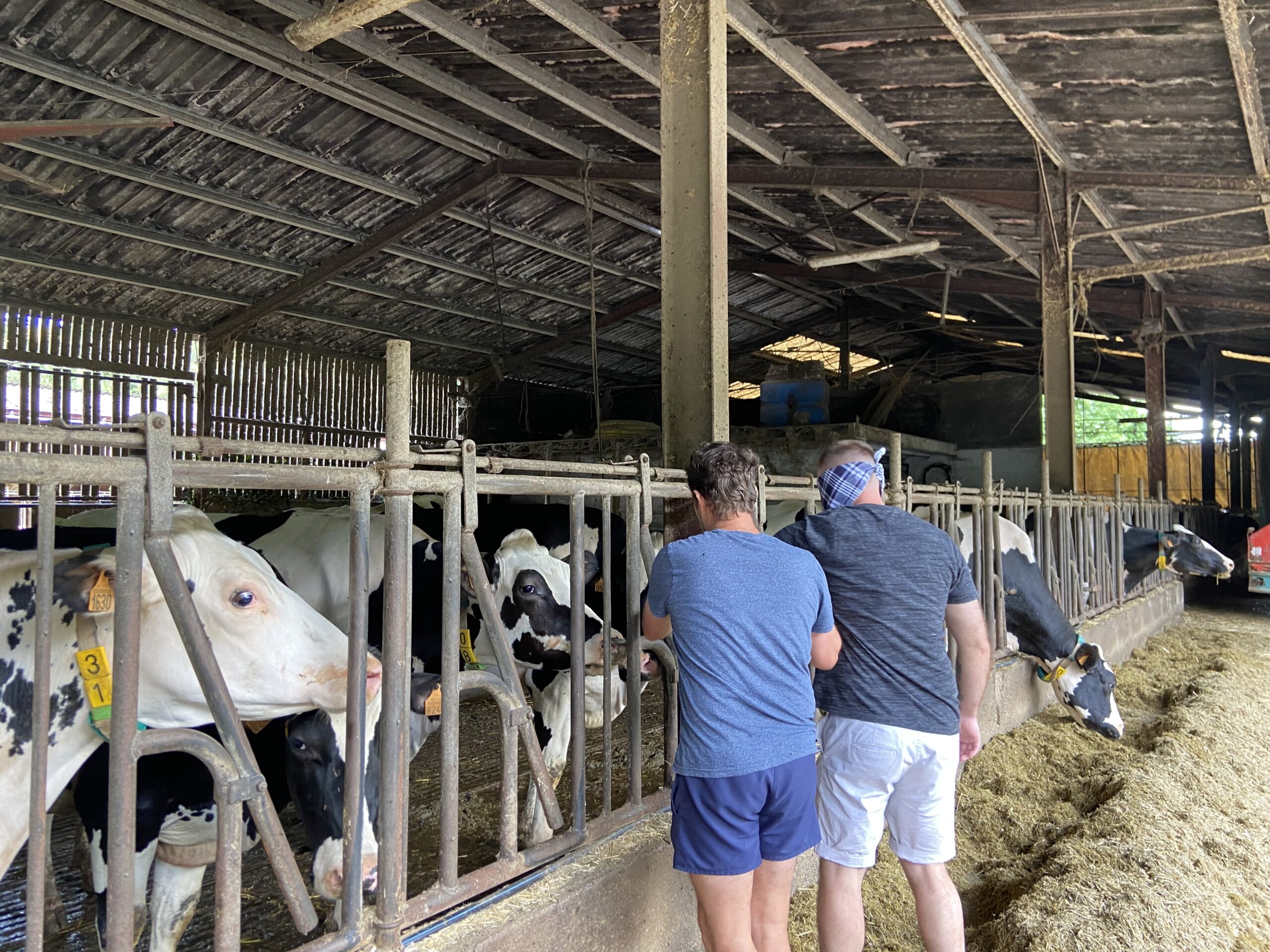 Journée dans ta Ferme Ibaski