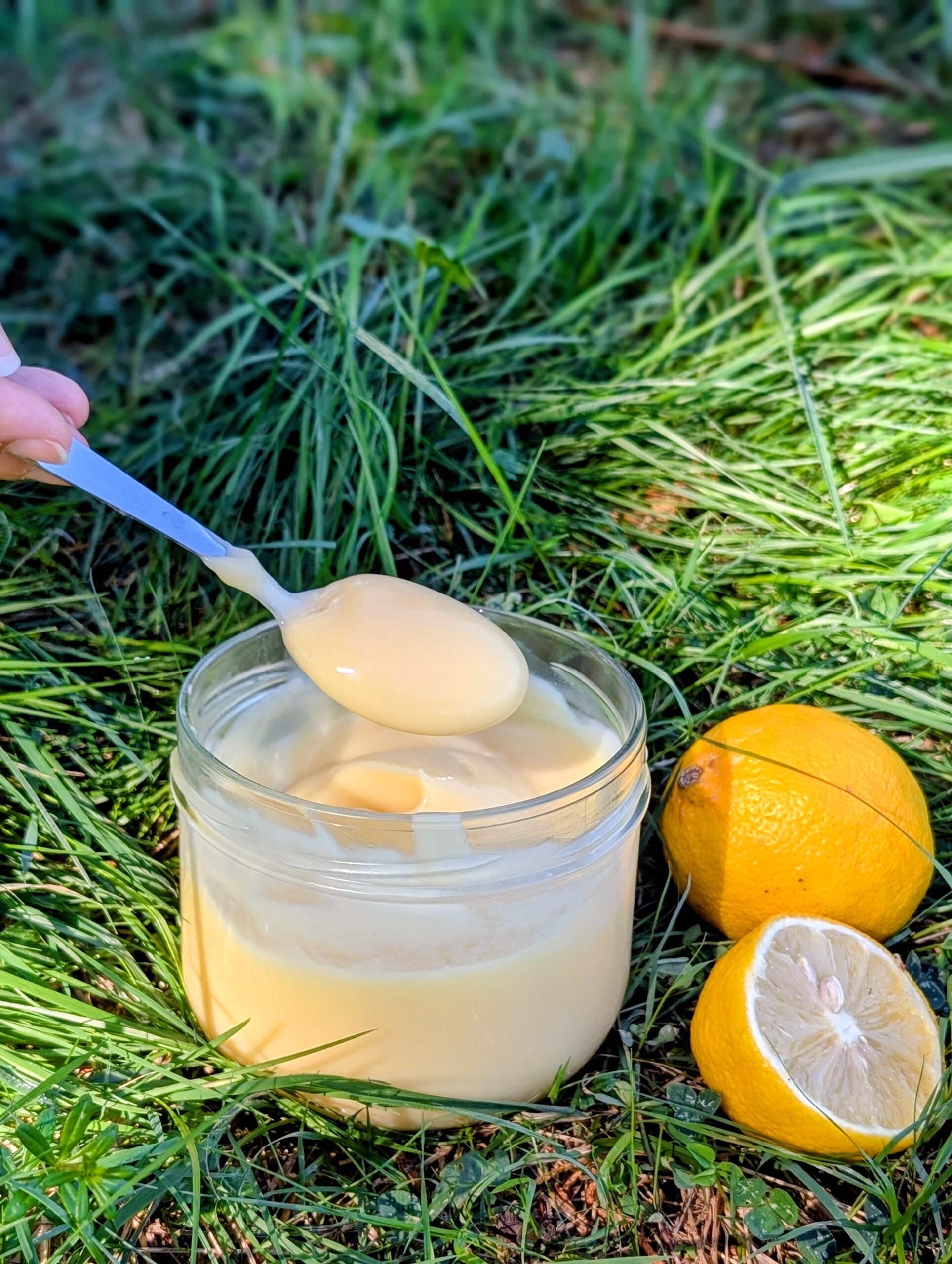 Ibaski - Crème citron